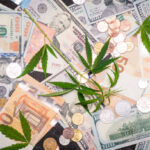 Legal Cannabis